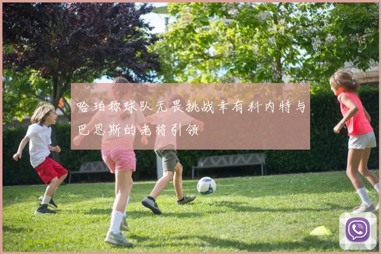 哈珀称球队无畏挑战幸有科内特与巴恩斯的老将引领
